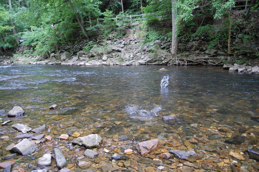 Skipping Stones